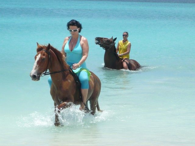 Excursions to Try on Your Next Visit to the Caribbean